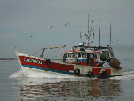 fouras41
